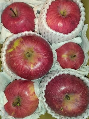 安心安全な美味しい🍎に巡り逢えました!の画像 1