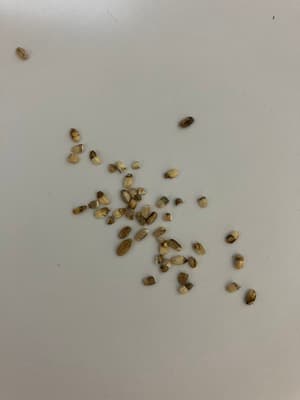 騙された気分ですの画像 1