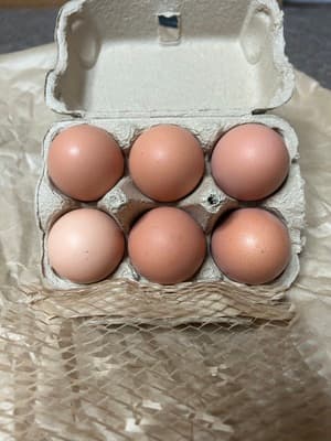 とにかく濃い!の画像 1