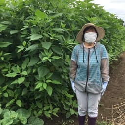 あさの屋プロフィール画像