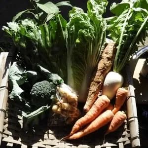 自然栽培<季節の野菜セット>佐賀の自然の恵みたっぷり!農薬・化学肥料不使用