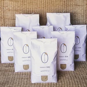 ひのひかり 玄米 令和7年産『れんげのお米』 農薬不使用・レンゲ緑肥栽培