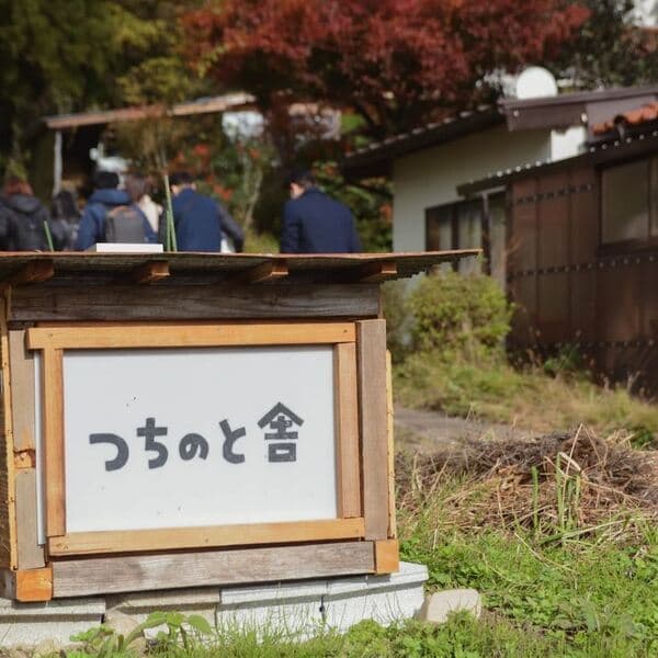 コウノトリが戻った田んぼ:自然農法の力が生み出す雑味の少ない実り