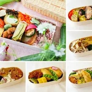【定期便】選べる冷凍お弁当《月1回or隔週お届け|無添加・無農薬米、有機・特別栽培野菜》